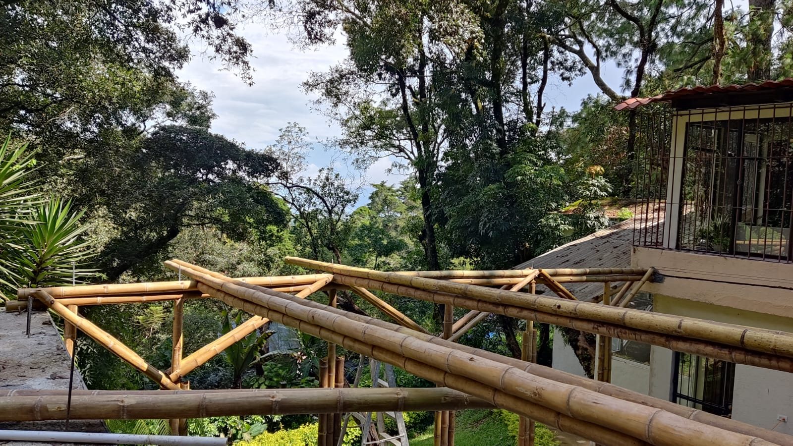 Pérgola